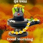SAYAN SARKAR