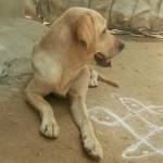 Ramkishore