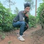 SAFIH P