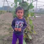 Joyan Ali