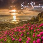 Nihal Singh Rajput