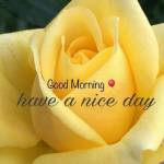 jagadeesh