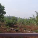 ruturaj sunil deshmukh