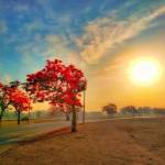 Shubham Kumar