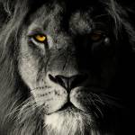 Prajwal Surendra Naik