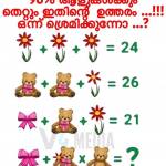 vijay ann