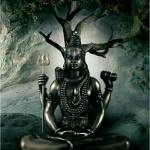 sabari