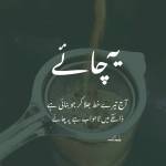 mohd modassir