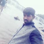 DINESHKUMAR C