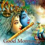 mer vipulkumar Arvindbhai