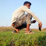sandip das