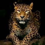 Ashvind sl