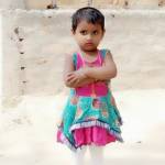 shek Abdullah