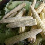 nanthini