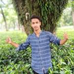 Saiful ali