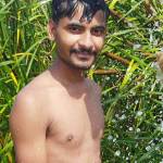 pmmodi