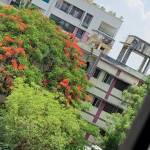 satyam
