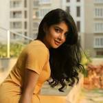 S.. Nandhakumar