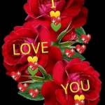 Anshu