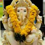 Vijay Aravinthan