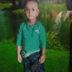 HAMED