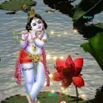 Siva Ms