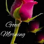 ram krishna