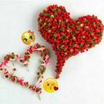 vignesh