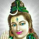 parthip p krishna