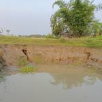 Shohidul