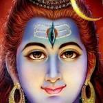 rajesh