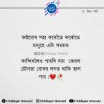Shahil Ahmed