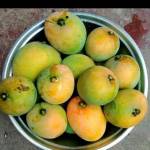 কজীম আ লী