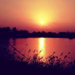 swarup mandal