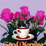 Vijaya