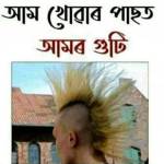 Mridul nath