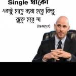 Basu dolai