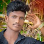 Thamaraiselvan.v