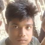 moskedul
