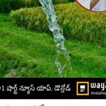 B vamsi