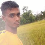 RAZIBUL HOQUE