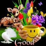 Deepak Kumar