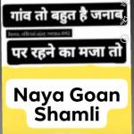 shanidev