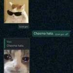 vamshj