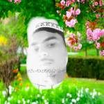 aminur