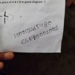 ankit