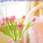 velmurugan