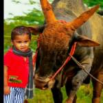 Arun kumar