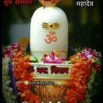 Pushpa mendhe