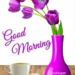 Yeshwanth